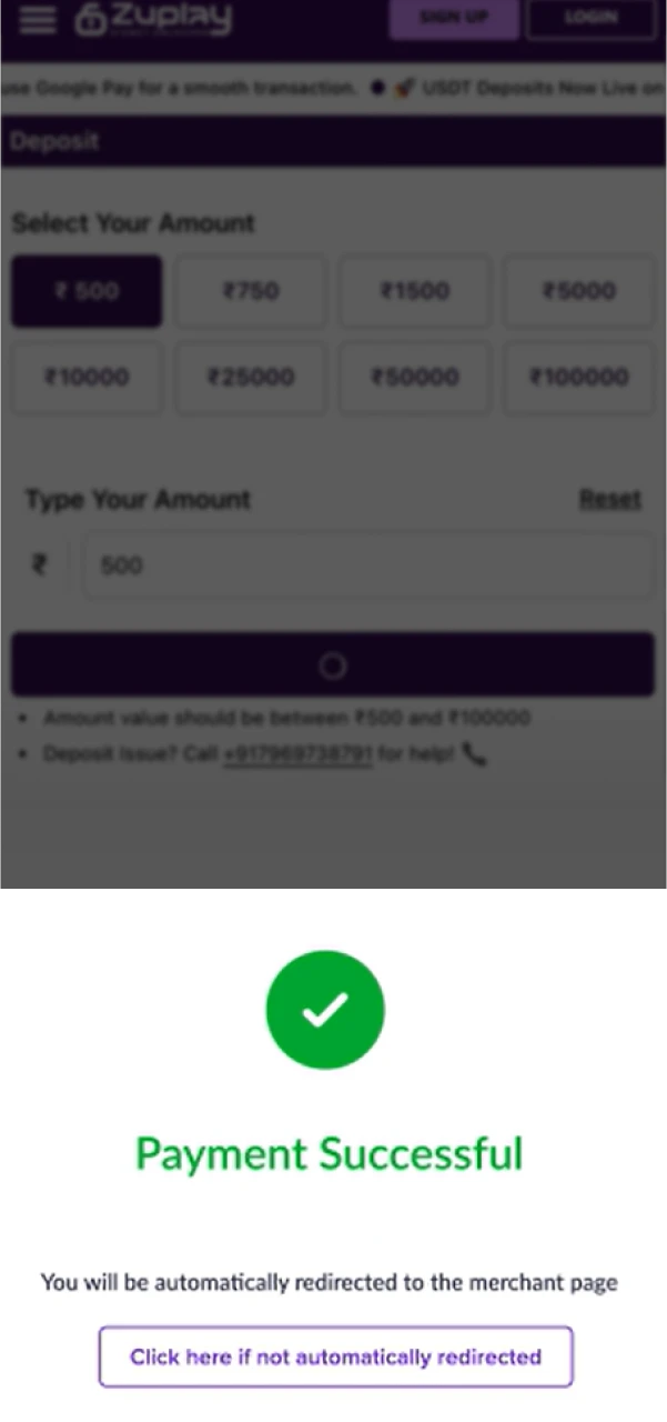Confirm the payment on the selected system to fund your Zuplay balance.